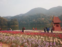 -广州市石门国家森林公园
