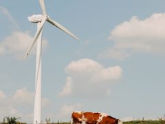 -苏木山森林公园