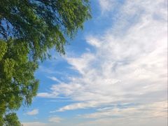 -丁香湖公园