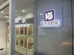 -爱洗澡的猫(天河路店)