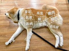 -YCHL Studios健身工作室(市二宫店)