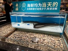 -東盛炭烤自助料理(玄武招商花园城店)