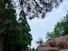 -玉苍山国家森林公园