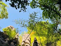 -梭布垭石林景区