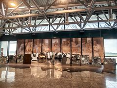 -米兰马尔彭萨国际机场