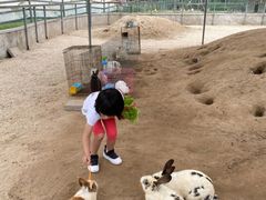 -前小桔亲子创意农场·草莓采摘·露营烧烤