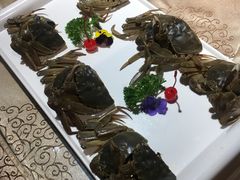 -金海湾海鲜总店