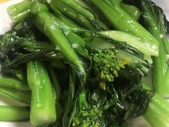 -鸽王世家(东华东路店)