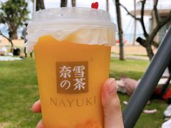 -大梅沙海滨公园