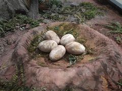 -湖南省地质博物馆