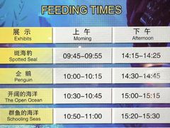 -上海海洋水族馆