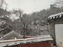 -潭柘寺景区