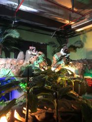 -恐龙探索乐园(磁器口店)