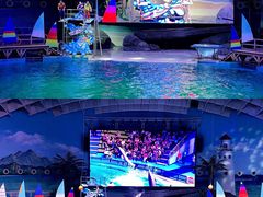 -海合安武汉极地海洋公园
