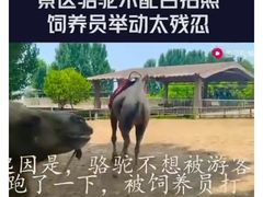 -古柏渡飞黄旅游区