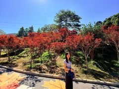 -广州市帽峰山景区
