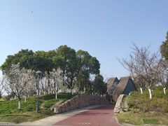 -滆湖低碳生态公园
