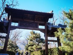 -阳台山自然风景区