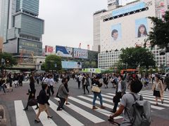 -涩谷区