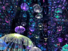 -梵高星空艺术馆(北京旗舰店)