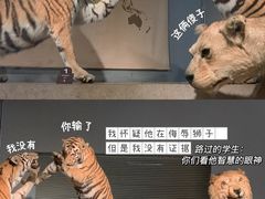 -上海自然博物馆