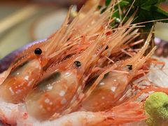 -Hi City·城市之巅