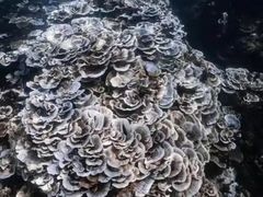 -北京海洋馆