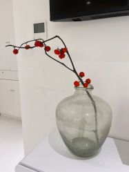-安那般那皮肤年轻化ANAPANA