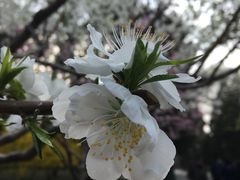 -小科自助海鲜烧肉(高区店)