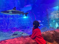 -沈阳海洋探索中心