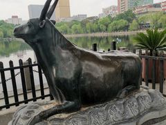 -文瀛公园