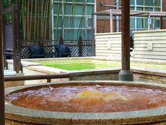 -春晖园度假酒店温泉