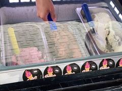-野人先生现做冰淇淋(北京顺义祥云小镇店)