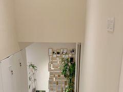 -the rug 飞毯 (朝阳公园店)