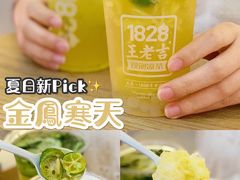 -1828王老吉·草本新茶(珠江新城地铁站店)