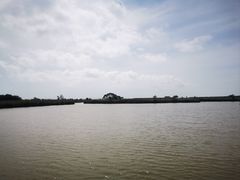 -盐城丹顶鹤湿地生态旅游区