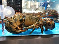 -麦德龙(郑东店)