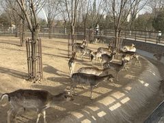 -太原动物园
