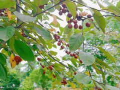 -洪湖家庭农场·团建·露营·会议