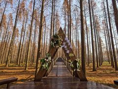 -黄海国家森林公园