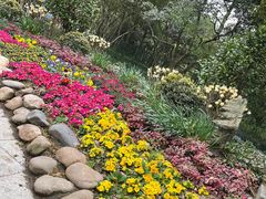 -杭州植物园