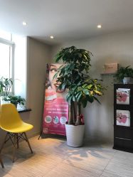 -净妍美肌专业净毛嫩肤连锁机构