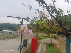 -新江湾城公园
