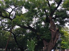 -香山公园