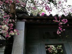 -深圳国际园林花卉博览园