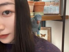 -吉丁鸟咖·异宠·寄养