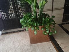 -洛阳宴·洛阳菜(南昌路店)