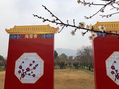 -香雪海