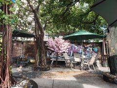 -柴犬高等学院·狗咖·柴犬售卖·宠物训练