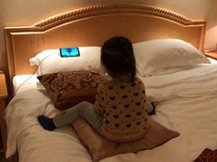 -南京维景国际大酒店(南京博物院店)